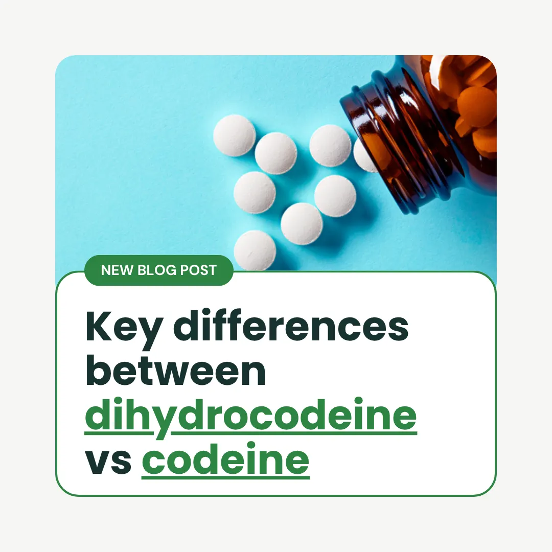 Key differences between dihydrocodeine vs codeine